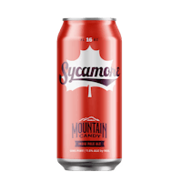 Sam Adams Porch Rocker Can